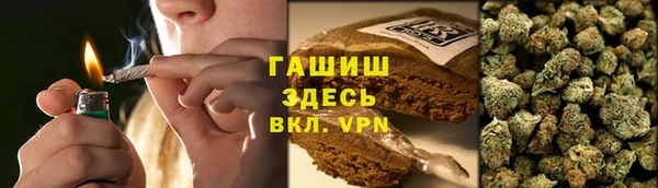 твердый Богданович