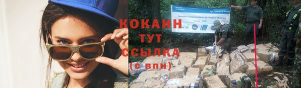 прущие крисы Бородино
