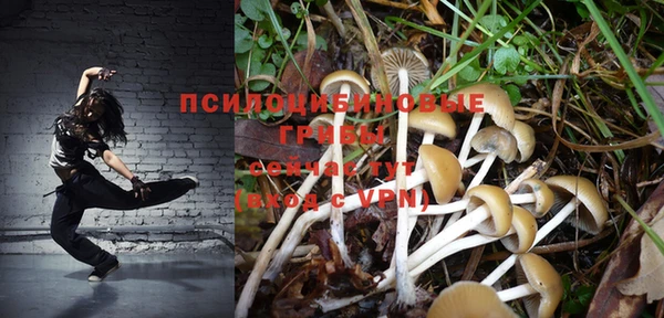 прущие крисы Бородино