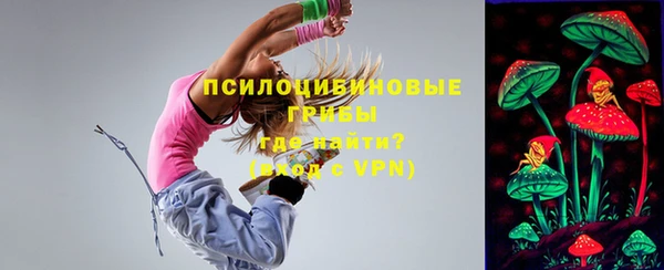 прущие крисы Бородино