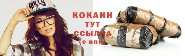 крисы Белокуриха