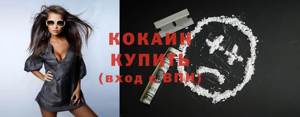 прущие крисы Бородино