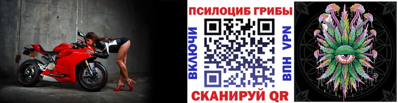 Псилоцибиновые грибы мицелий  Барабинск 
